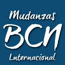 Mudanzas — cliente Google Ads
